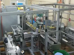 Sistema automático de alimentación y envasado