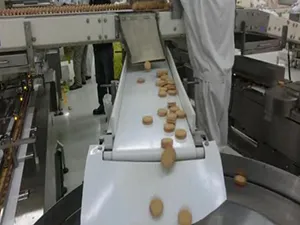 Sistema automático de envasado con alimentador de doble tolva