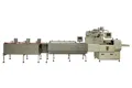 Envasadora horizontal flow pack SF-C